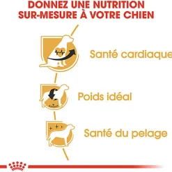 Royal Canin - Croquettes Cavalier King Charles Adult - 1,5Kg