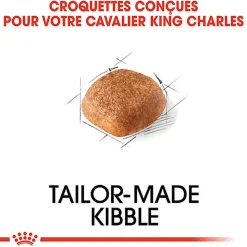 Royal Canin - Croquettes Cavalier King Charles Adult - 1,5Kg