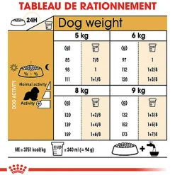 Royal Canin - Croquettes Cavalier King Charles Adult - 1,5Kg