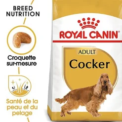 Royal Canin - Croquettes Cocker pour Chien Adulte