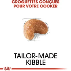 Royal Canin - Croquettes Cocker pour Chien Adulte