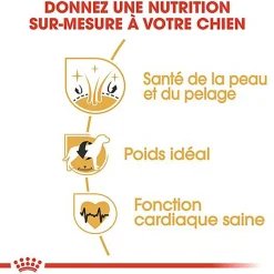 Royal Canin - Croquettes Cocker pour Chien Adulte