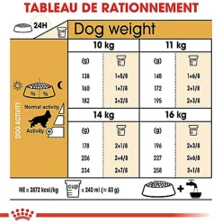 Royal Canin - Croquettes Cocker pour Chien Adulte