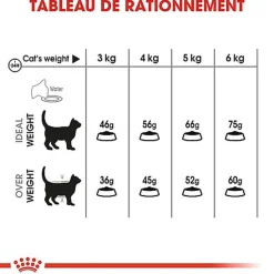 Royal Canin - Croquettes Dental Sensitive Care pour Chat