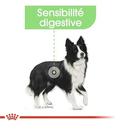Royal Canin - Croquettes Digestive Care pour Chien