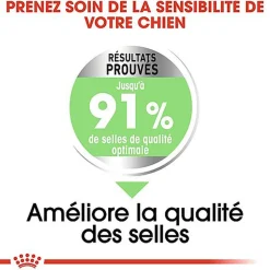 Royal Canin - Croquettes Digestive Care pour Chien