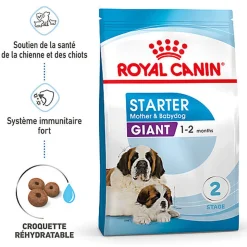 Royal Canin - Croquettes Giant Starter Mother & Babydog pour chiots - 15kg