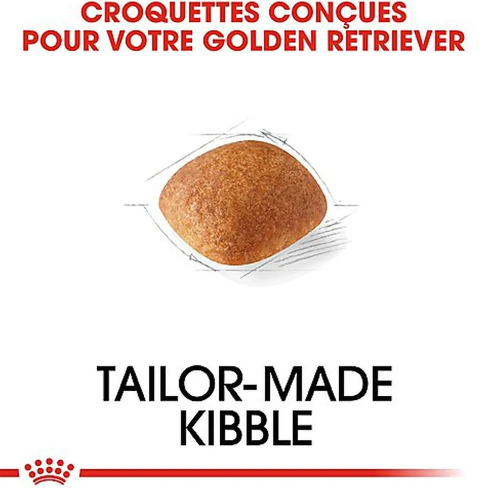 Royal Canin - Croquettes Golden Retriever pour Chien Adulte
