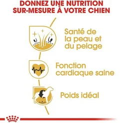 Royal Canin - Croquettes Golden Retriever pour Chien Adulte