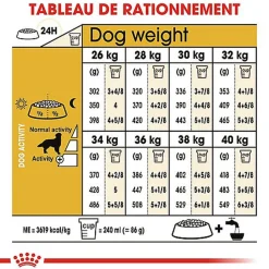 Royal Canin - Croquettes Golden Retriever pour Chien Adulte