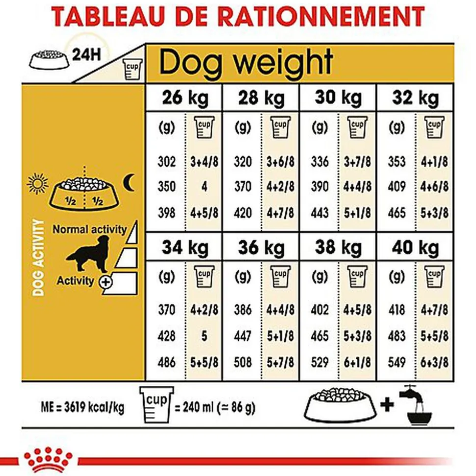 Royal Canin - Croquettes Golden Retriever pour Chien Adulte