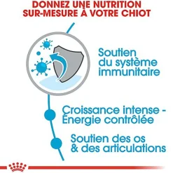 Royal Canin - Croquettes Giant Puppy pour Chiot