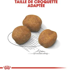 Royal Canin - Croquettes Giant Puppy pour Chiot