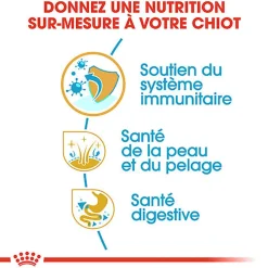 Royal Canin - Croquettes Golden Retriever Junior pour Chiot - 12Kg