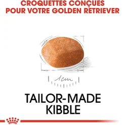 Royal Canin - Croquettes Golden Retriever Junior pour Chiot - 12Kg