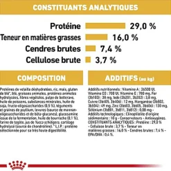 Royal Canin - Croquettes Golden Retriever Junior pour Chiot - 12Kg