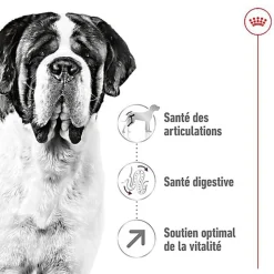 Royal Canin - Croquettes Giant Adult pour Chien - 15Kg