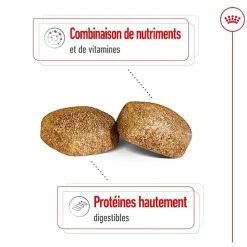Royal Canin - Croquettes Giant Adult pour Chien - 15Kg
