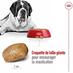 Royal Canin - Croquettes Giant Adult pour Chien - 15Kg