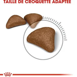 Royal Canin - Croquettes Hairball Care Adulte pour Chat