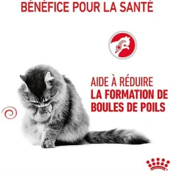 Royal Canin - Croquettes Hairball Care Adulte pour Chat