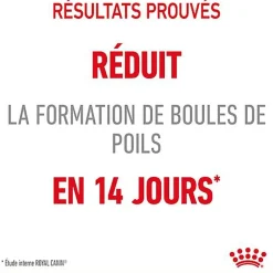 Royal Canin - Croquettes Hairball Care Adulte pour Chat