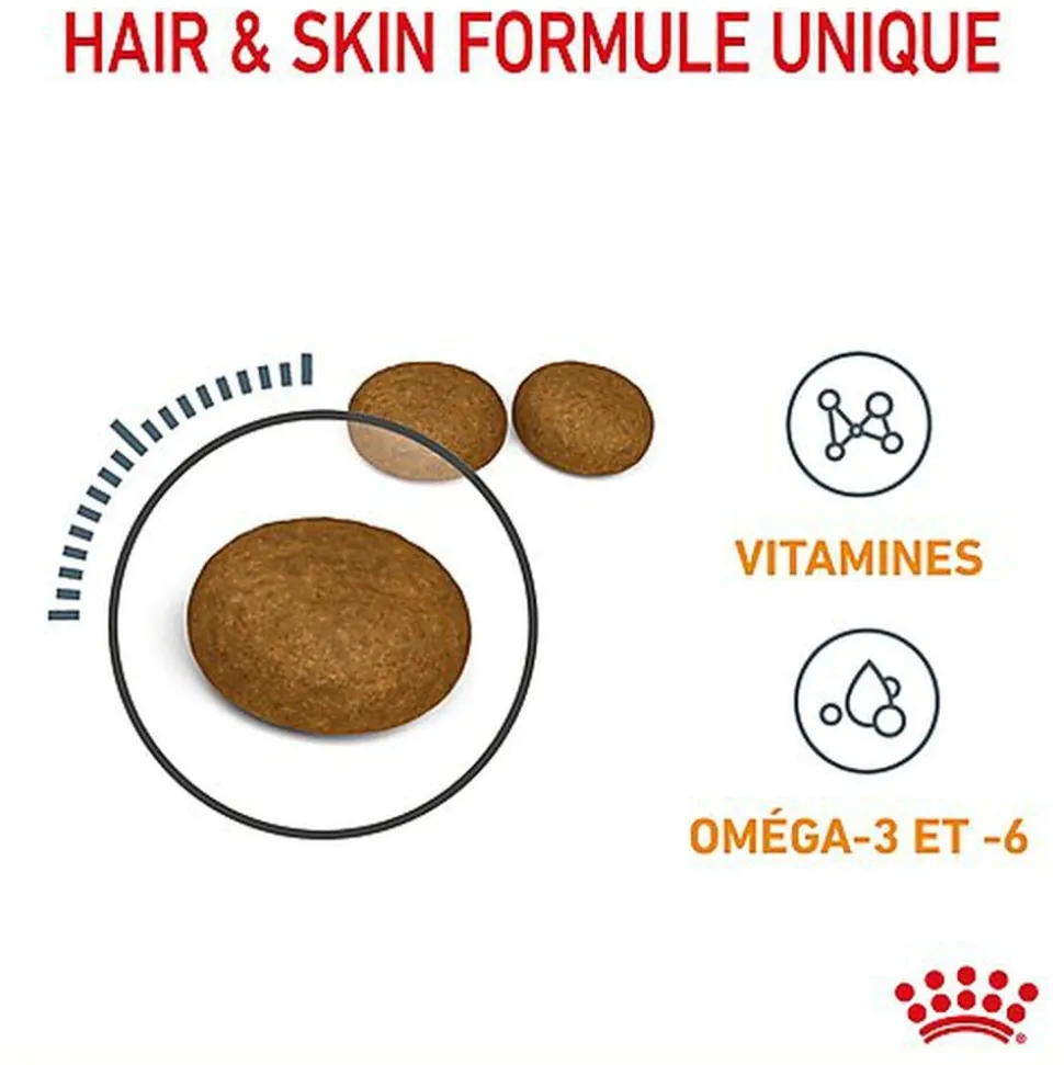 Royal Canin - Croquettes Hair & Skin Care pour Chat