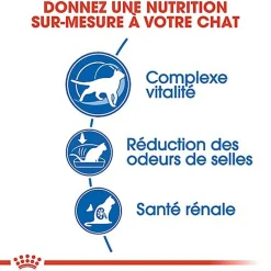 Royal Canin - Croquettes Indoor 7+ pour Chat Senior - 400g