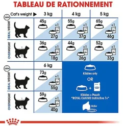 Royal Canin - Croquettes Indoor 7+ pour Chat Senior - 400g