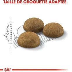 Royal Canin - Croquettes Indoor Long Hair pour Chat