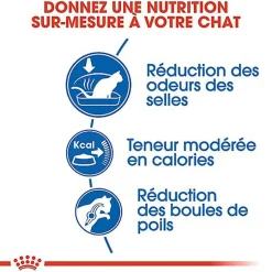 Royal Canin - Croquettes Indoor 27 pour Chat d'Intérieur de 1 à 7 ans