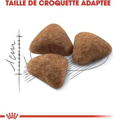 Royal Canin - Croquettes Indoor 27 pour Chat d'Intérieur de 1 à 7 ans