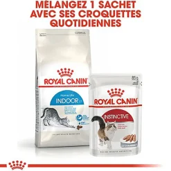 Royal Canin - Croquettes Indoor 27 pour Chat d'Intérieur de 1 à 7 ans