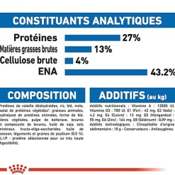 Royal Canin - Croquettes Indoor 27 pour Chat d'Intérieur de 1 à 7 ans