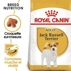 Royal Canin - Croquettes Jack Russel Terrier pour Chien Adulte - 3Kg