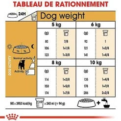 Royal Canin - Croquettes Jack Russel Terrier pour Chien Adulte - 3Kg