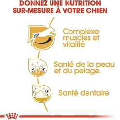 Royal Canin - Croquettes Jack Russel Terrier pour Chien Adulte - 3Kg