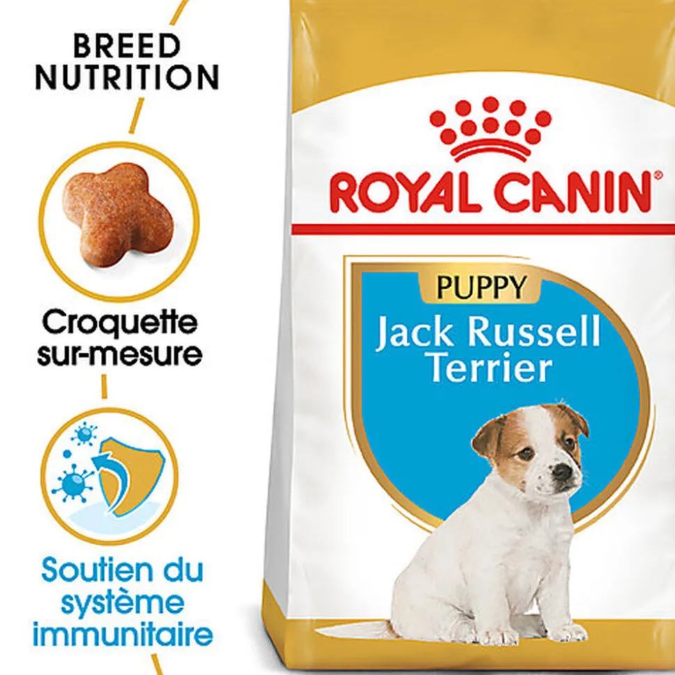 Royal Canin - Croquettes Jack Russell Junior - 3Kg
