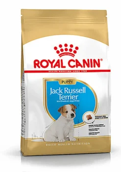 Royal Canin - Croquettes Jack Russell Junior - 3Kg