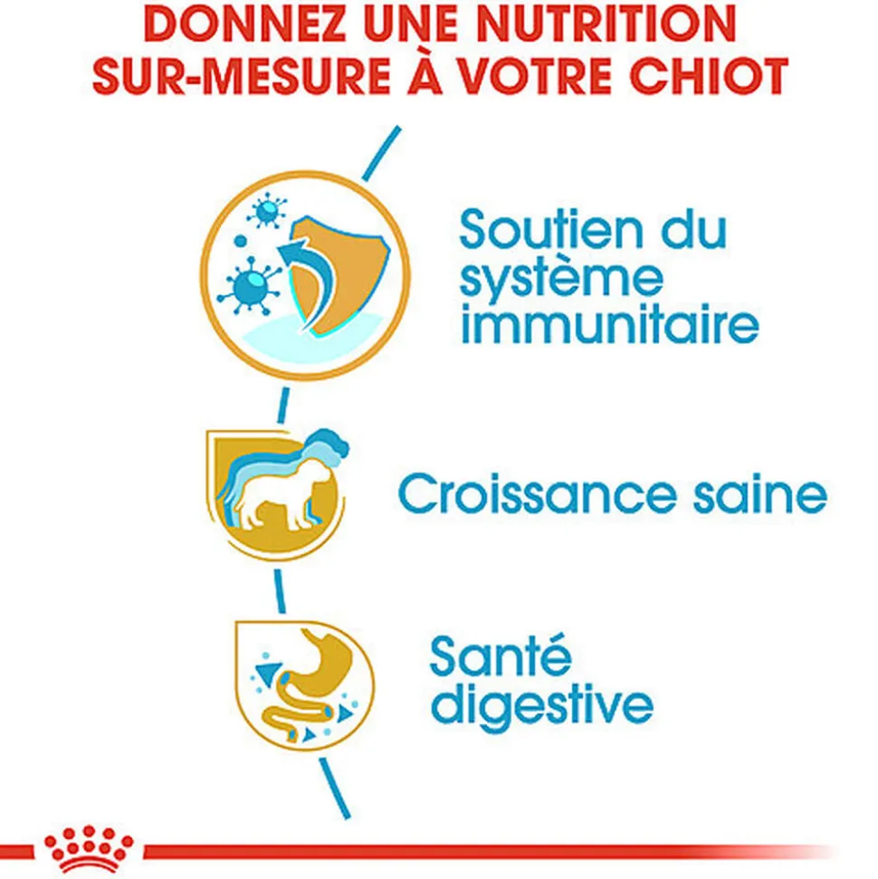 Royal Canin - Croquettes Jack Russell Junior - 3Kg