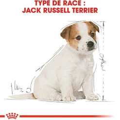 Royal Canin - Croquettes Jack Russell Junior - 3Kg