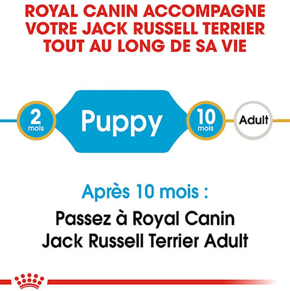 Royal Canin - Croquettes Jack Russell Junior - 3Kg