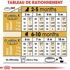 Royal Canin - Croquettes Jack Russell Junior - 3Kg