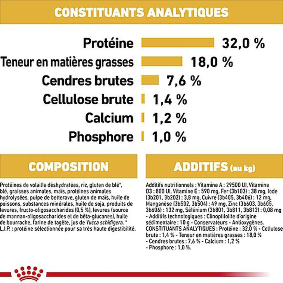 Royal Canin - Croquettes Jack Russell Junior - 3Kg