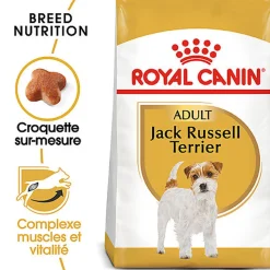 Royal Canin - Croquettes Jack Russell Adult pour Chiens - 1,5Kg