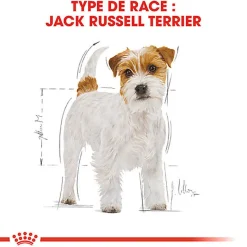 Royal Canin - Croquettes Jack Russell Adult pour Chiens - 1,5Kg