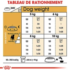 Royal Canin - Croquettes Jack Russell Adult pour Chiens - 1,5Kg