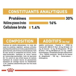 Royal Canin - Croquettes Jack Russell Adult pour Chiens - 1,5Kg