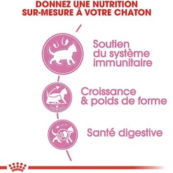 Royal Canin - Croquettes Kitten Sterilised pour Chaton - 400g