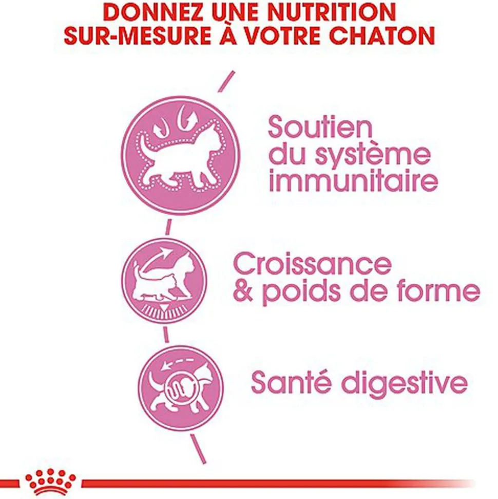 Royal Canin - Croquettes Kitten Sterilised pour Chaton - 400g
